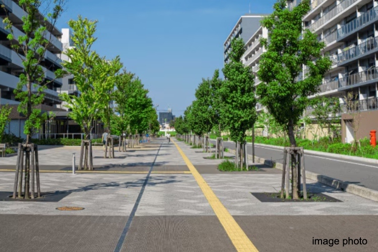 ソライエテラス　イーストの周辺環境